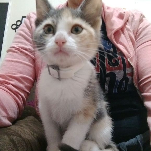 Meet your Posher, Angie - Picture 1 of 1